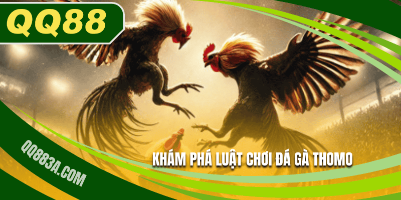 Khám phá luật chơi đá gà Thomo